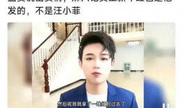 孟贺最新爆料消息视频大全,揭秘事件真相与幕后黑幕